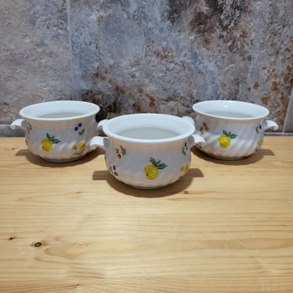 VTG Double Handle Soup Bowl Fruit Pattern Set of 3